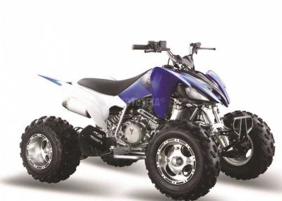 Квадроцикл Мотомир PANTERA 250 (машинокомплект)